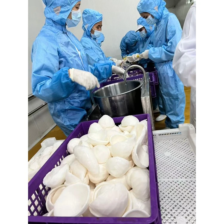 Processing-room handling of prepared white coconut meat; process reference